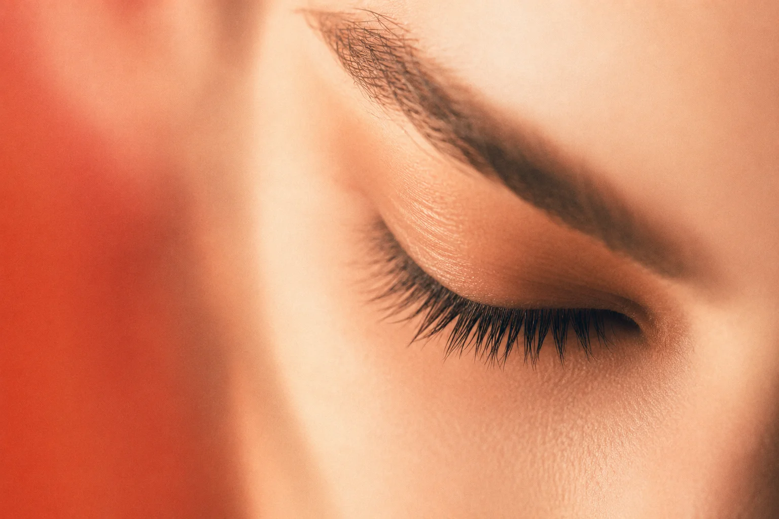 Lashes & Brows